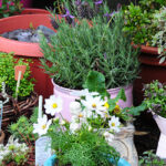 Container Gardening: The Benefits of Growing Plants in Pots