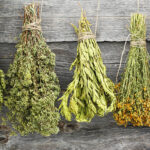 Tips for Drying and Storing Herbs