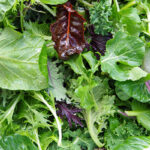 7 Tips for Starting Your Own Leafy Green Garden