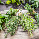 When and How to Harvest Herbs for the Best Flavor