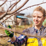 The Best Time To Prune Fruit Trees